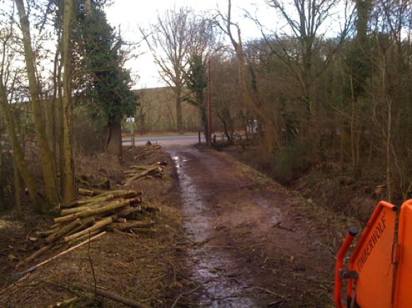 Large scale access scrub and tree clearance, Nazeing Essex