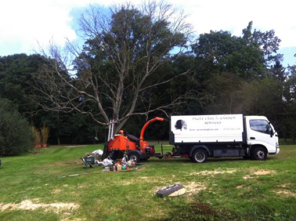 Complete site assessments and tree surveys undertaken, Chelmsford Essex