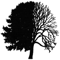 Local Tree services Essex