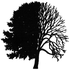 Tree services Theydon